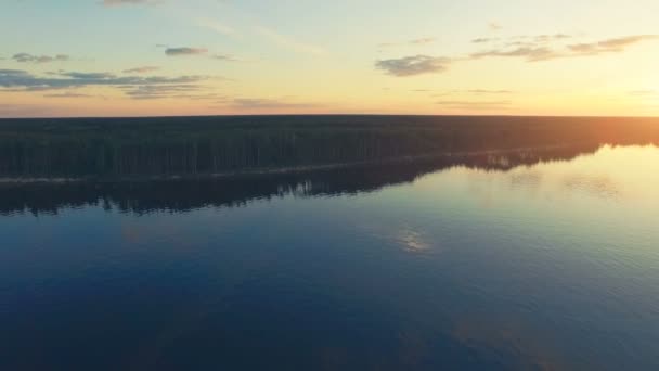 Полет над спокойной водой и лесом — стоковое видео