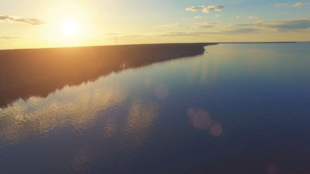 Політ над спокійною водою і лісом — стокове відео