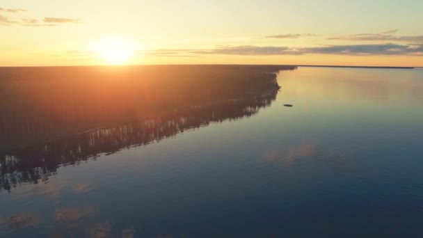 Vlucht boven kalm water en bos — Stockvideo