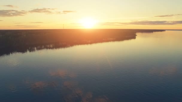 Політ над спокійною водою і лісом — стокове відео