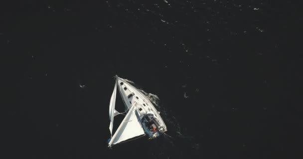 Haut vers le bas de yacht à voile blanc sur l'eau noire de la baie océanique aérienne. Personne paysage marin nature à l'été — Video