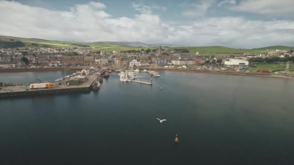 Dock at pier town cityscape aerial. Seagull over ocean bay. Yachts, boats, ships, vessels at wharf — Stock Video