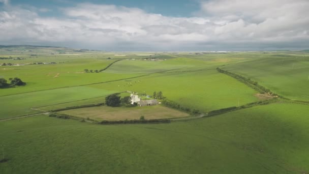 Terras agrícolas verdes em campos, pastos aéreos. Casas, celeiros em gramíneas prado com animais de fazenda — Vídeo de Stock