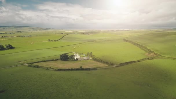 El sol brilla en el paisaje rural con la granja aérea. Pastos verdes con animales. Tierras rurales — Vídeos de Stock