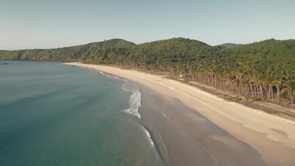 热带岛屿空中的海洋湾海景。沙滩上的绿色棕榈树。避暑胜地 — 图库视频影像