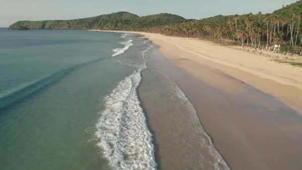 Az óceáni öböl antennájának trópusi tengerpartja. A turisták a homokos parton keringőznek. Hegy trópusi erdőkkel — Stock videók