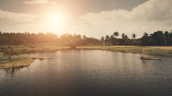 Tropisch zonnenwoud aan de oever van het meer. Groene graskust bij palmbomen. Serene waterzon reflectie — Stockfoto
