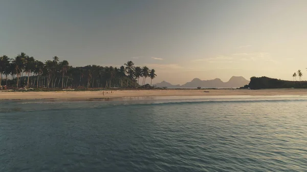 Seascape at sand beach with palm trees at sea shore aerial. Summer tourist vacation — Stock Photo, Image