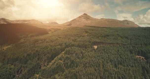 녹색 숲, 산악 지형의 항공. 아무도 나무와 초원의 자연 풍경 — 비디오