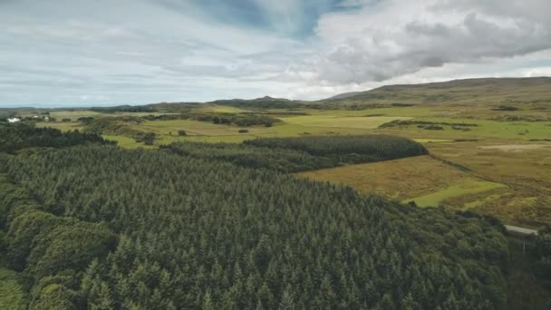 Tallskog vid gröna dalen antenn. Ingen natur landskap. Landsbygdsgårdar på väg. Grönska träd — Stockvideo