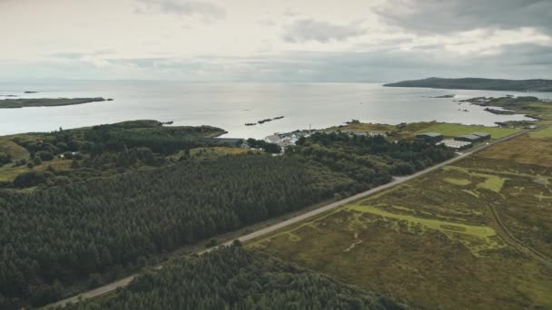 Whisky destilleri lager vid havsvik. Grön skog vid havet. Ingen natur landskap — Stockvideo