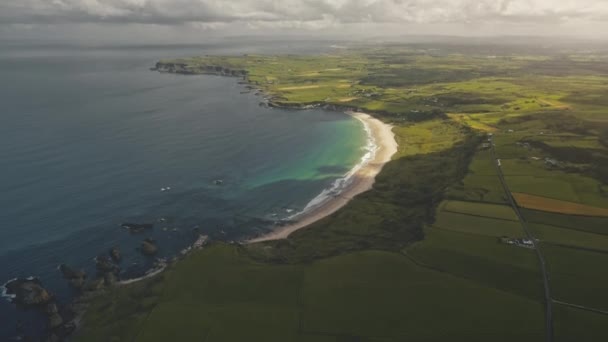 Green farmland at sun ocean bay aerial. Nobody nature landscape. Yellow fields, meadows at summer — Stock Video