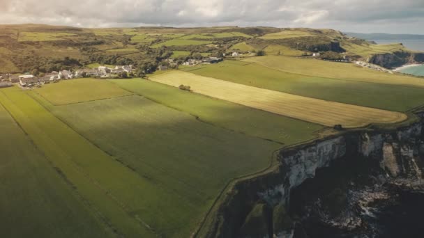 Terres agricoles ensoleillées champs aériens. Fermes de campagne, pâturages d'animaux. Paysage naturel rural à la baie océanique — Video