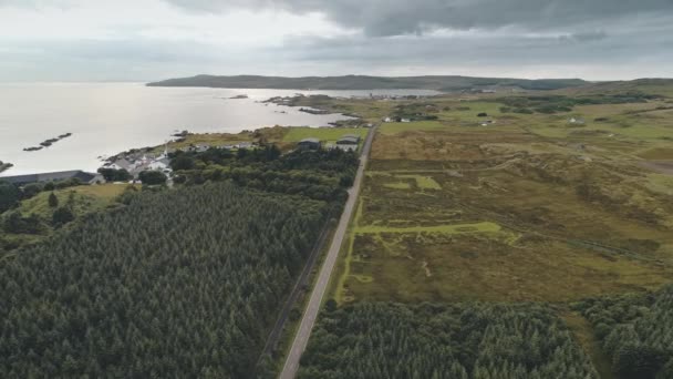 Fábrica de campiña aérea de cámara lenta en la bahía del mar. Bosque de pinos verdes en camino rural. Campos — Vídeos de Stock