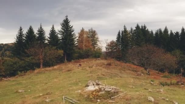 Höstlandskap vid fjällskogs antenn. Miljö på berget naturskönhet. Tallgran, lövträd — Stockvideo