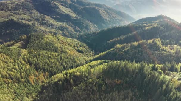 Foresta verde al sole montagna aerea superiore. Nebbia a nessuno paesaggio di natura. Catene montuose, pini — Video Stock