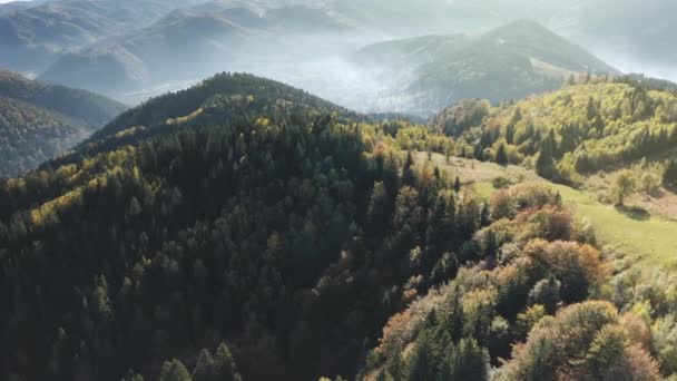 Crinali di montagna di sole con foresta di abete. Aerea nessuno paesaggio natura. Alpinismo autunnale — Video Stock