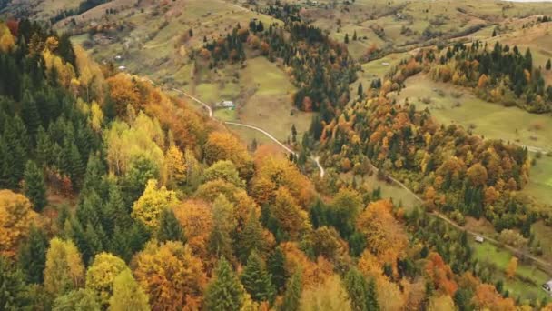 Solen höst grön, gula träd på bergstoppar. Flygfoto ingen natur landskap på landsbygden — Stockvideo