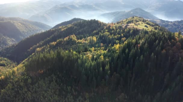 Aerial słońce góra szczyt z sosnami las na jesiennej mgle. Żaden krajobraz natury. Mocowanie przeciwmgłowe — Wideo stockowe