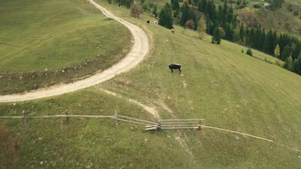 Estrada do campo em sol montanha aérea. Ninguém paisagem da natureza. Férias de outono no monte aldeia — Vídeo de Stock