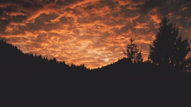 Silueta de bosque de abeto de montaña al atardecer. Nadie naturaleza paisaje. Crepúsculo cielo nube puesta el sol — Vídeos de Stock