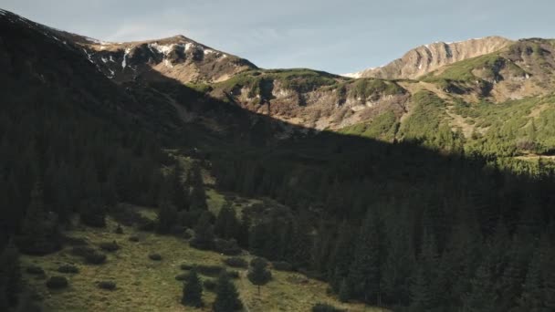 Ήλιος βουνοκορφές με πευκοδάσος εναέρια. Κανένα φυσικό τοπίο. Πράσινα κωνοφόρα δέντρα στους λόφους — Αρχείο Βίντεο