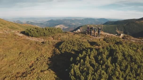 Touristes agitant la main sur le sommet de la montagne aérienne. Voyageurs au mont. Paysage naturel. Neige, forêt de sapins — Video