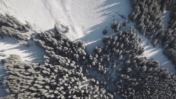 Верхнє неглибоке гірське село, котеджі на снігових ялинових лісах. Ніхто взимку природи пейзаж — стокове відео
