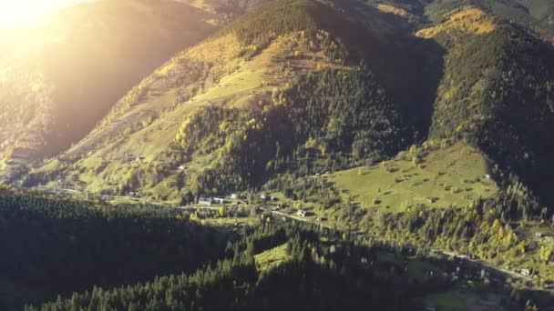 Sun montanha aldeia em pinhal floresta aérea. Rural ninguém paisagem da natureza. Árvores de outono em névoa névoa — Vídeo de Stock