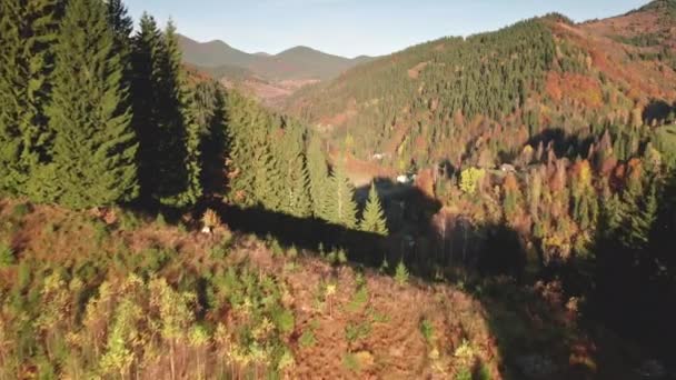 閉鎖秋の山の森の空中。誰も自然の田園風景。色とりどりの葉の木 — ストック動画