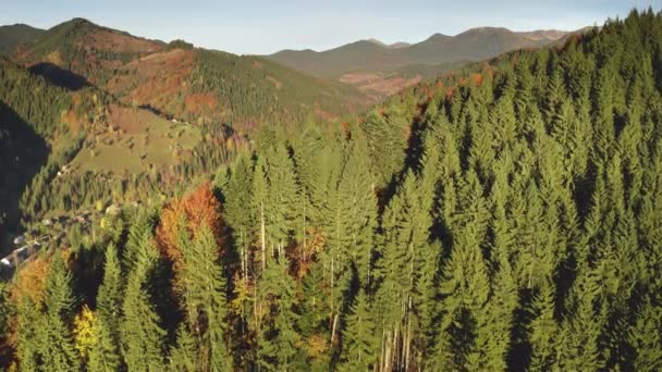 Güneş sonbaharı dağ ağaçları. Uçan hiç kimse doğa manzarası. Mount Valley köyünde yol. — Stok video