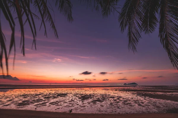 Silhouette Ταϊλάνδη παραλία ηλιοβασίλεμα: φύλλα φοίνικα και μικρό νησί σε σκοτεινό ωκεανό θάλασσα κόλπο νερό στην Ασία — Φωτογραφία Αρχείου
