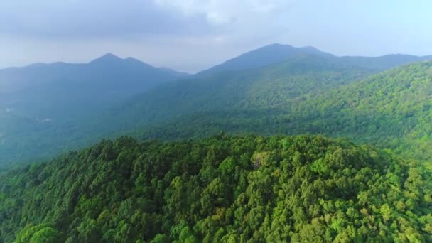 태국의 정글 항공: 산 꼭대기와 측면은 녹색 낙엽수림으로 덮여 있다. 중간쯤 되는 경관 — 비디오