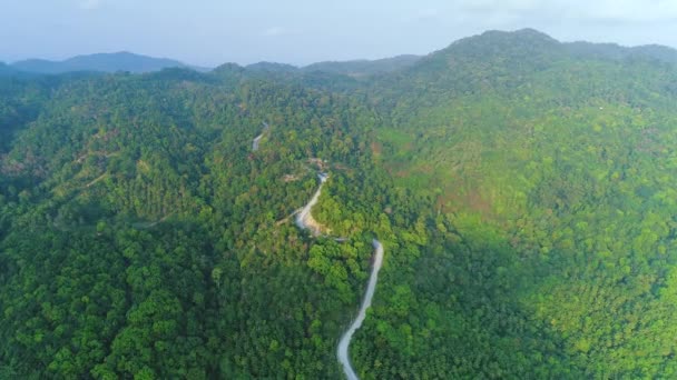 Thaimaa vuoret tie antenni: sademetsä usvainen lehtien lehtipuita Koh Phangan saari — kuvapankkivideo