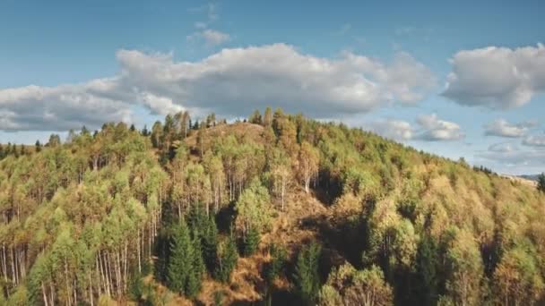 Bosque verde en la cima de la montaña aérea. Otoño nadie naturaleza paisaje. Abeto bajo las nubes — Vídeo de stock