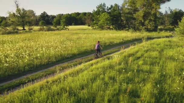 Повітряна жінка їде на велосипеді на зеленому трав'яному полі. Літній ландшафт природи. Туристична дівчина їде на велосипеді — стокове відео