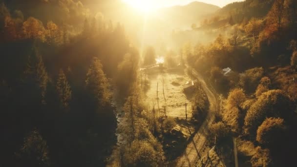 Őszi nap hegyi falu légi. Senki természet táj. Luc erdő a vidéki úton, nyaralók — Stock videók