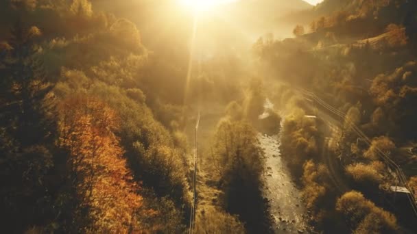 Zonnebergwoud op dorpsantenne. Herfst niemand natuur landschap. Dennenbomen bij huizen, huisje — Stockvideo