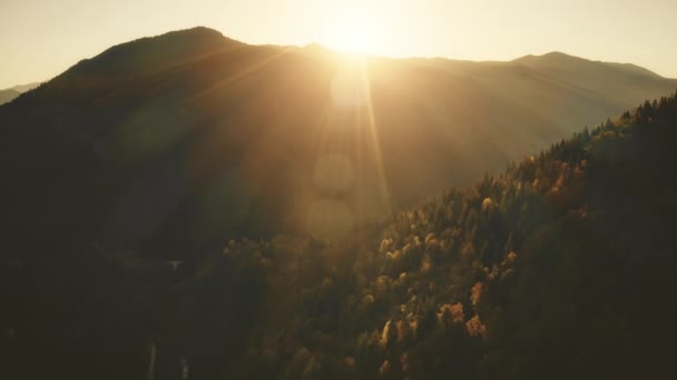 Sol cumes de montanha aérea. Outono ninguém paisagem de natureza. Floresta de abeto e folha. Alcance de montagem ensolarado — Vídeo de Stock