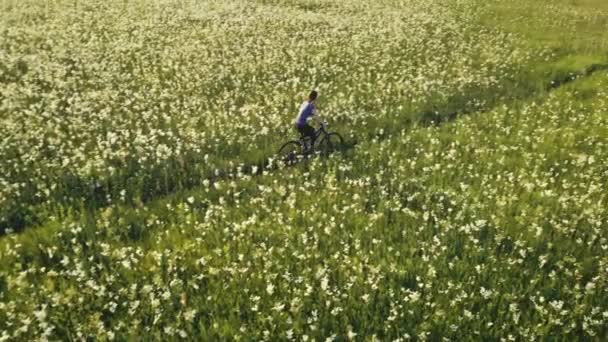 Flicka cykla på cykel på soläng antenn. Landsbygdens naturlandskap. Aktiv sport. Kvinnlig cykel — Stockvideo