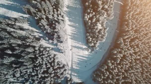 Top down zon sneeuw berg antenne. Winterlandschap. Toeristenattractie. Vuurbos op heuvel — Stockvideo