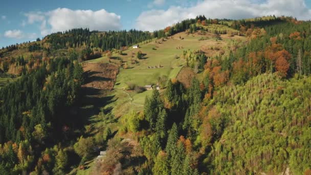 Luchtfoto groen bergdorp in de herfst. Niemand natuur landschap. Dennenbomen bos, grasvallei — Stockvideo
