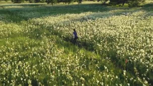 Meisjesfiets op groene grasweide. Landelijk natuurlandschap Actieve sportrecreatie. Bloesembloem — Stockvideo