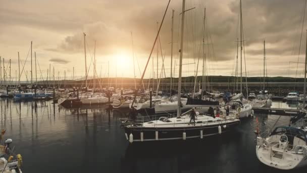 Yachts at sun ocean bay aerial. Nobody nature seascape. Ships, sailboat at pier. Sea water transport — Stock Video