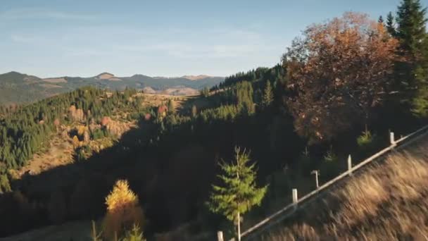 Dřevěný plot v horském lese. Podzimní krajina přírody. Barevné listy a zelené borovice — Stock video