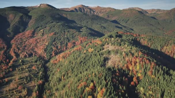 Herfst bergbos op richels slow motion antenne. Niemand natuur landschap op dag. Natuurlijke schoonheid — Stockvideo