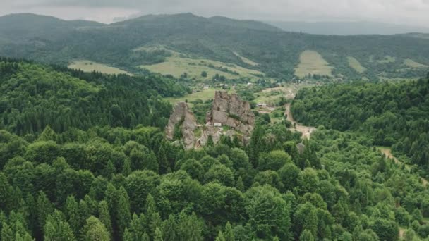 破壊された城の壁の空中で観光客。ヨーロッパの歴史的建築遺産。緑のモミの森 — ストック動画