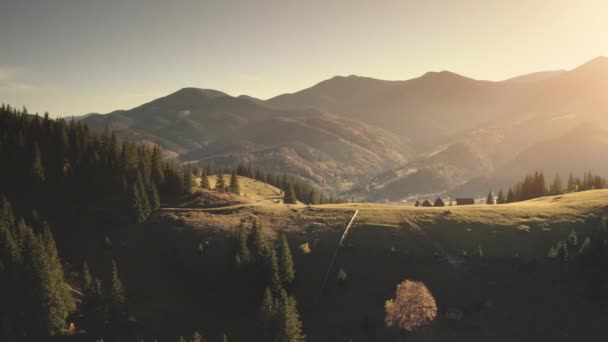 Sonnenaufgang an der Bergdorf-Antenne. Tannenwald in keiner Naturlandschaft. Hütten an Grasfeldern — Stockvideo