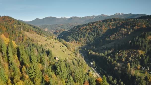 Aldeia de montanha em pinho, aérea de floresta de folha. Outono ninguém paisagem de natureza. Cottages na colina de grama — Vídeo de Stock