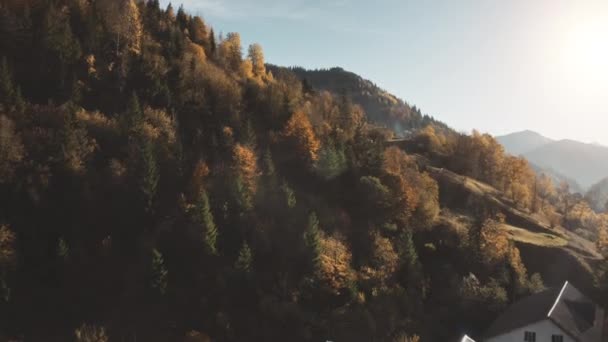 Aldea de montaña solar en la antena del bosque de otoño. Nadie naturaleza paisaje. Cabañas en colinas de hierba quemada — Vídeos de Stock